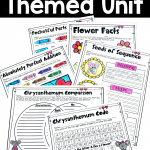 This Chrysanthemum unit is perfect for back to school or anytime of the year! Includes several writing crafts, math and literacy Chrysanthemum themed printables suitable for second or third graders. Teach kindness, name appreciation, two digit addition, graphing, sequencing, and so much more with this Chrysanthemum unit!
