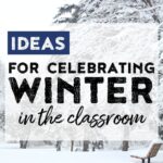 Read on for ideas on how to survive the winter season as a teacher.